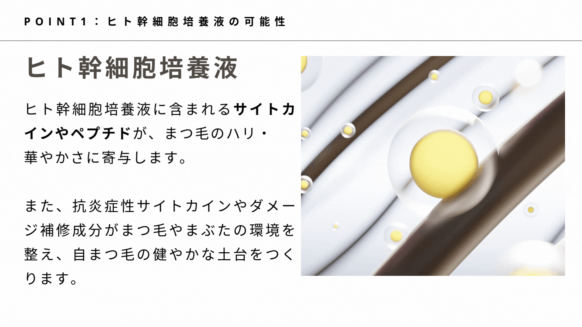 アイラッシュ セラム1